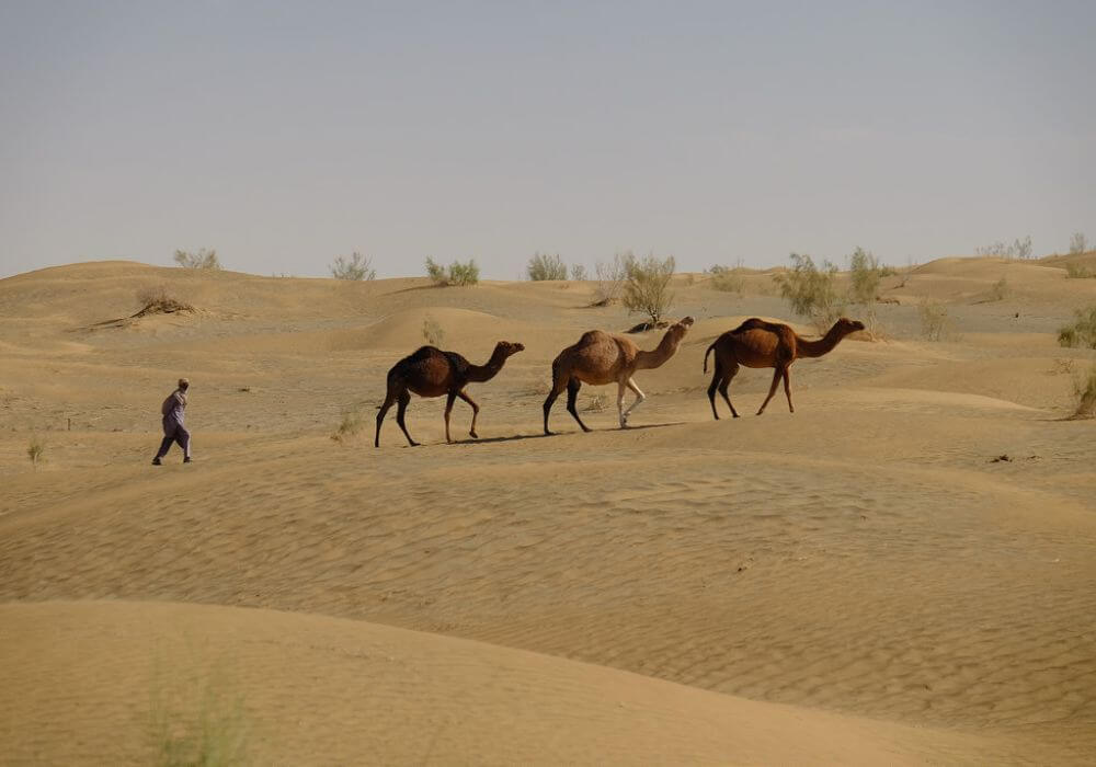 Kharan Desert