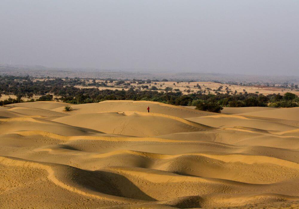 Thar Desert (Famous Deserts of Pakistan)