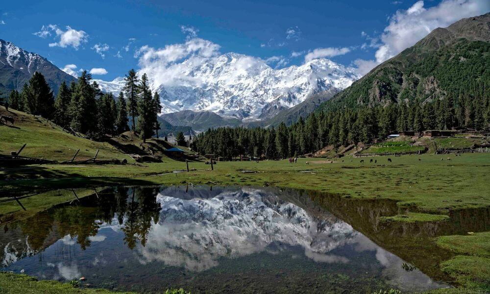 Fairy Meadows