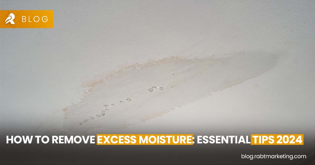 How to Remove Excess Moisture- Essential Tips 2024