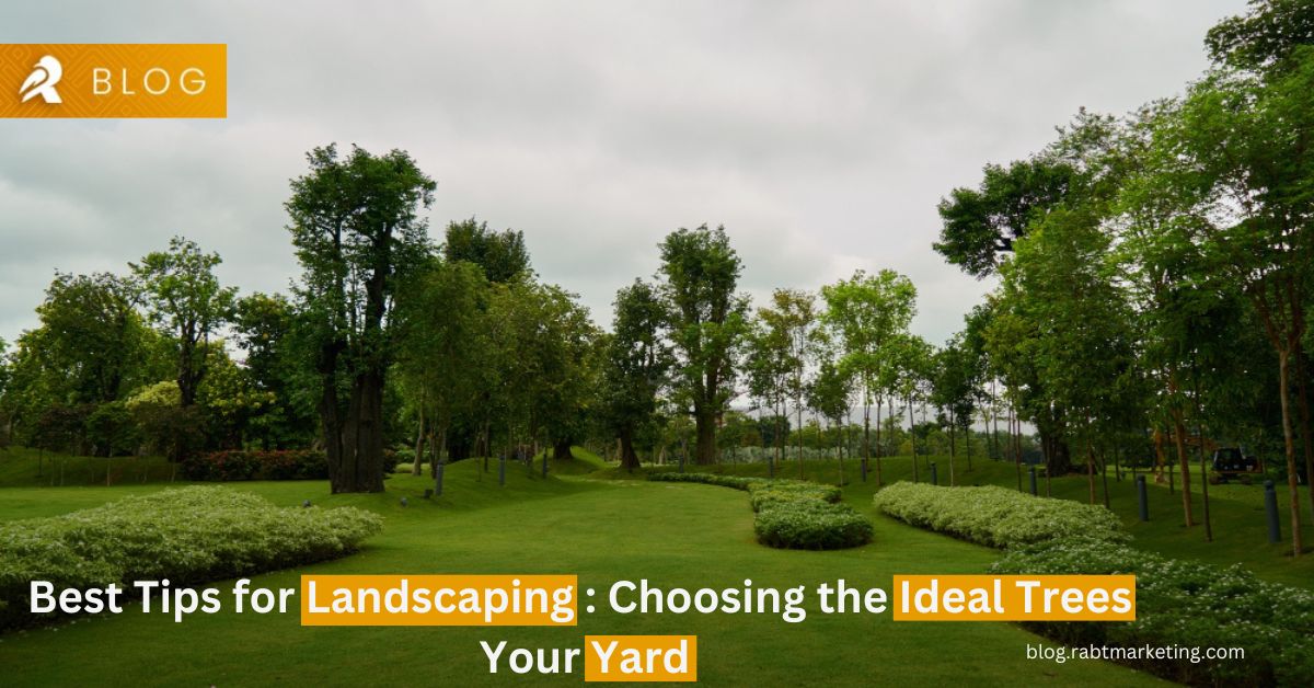 Best Tips for Landscaping : Choosing the Ideal Trees Your Yard