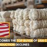 Pakistan Becomes the Top Buyer of US Cotton as Local Production Declines